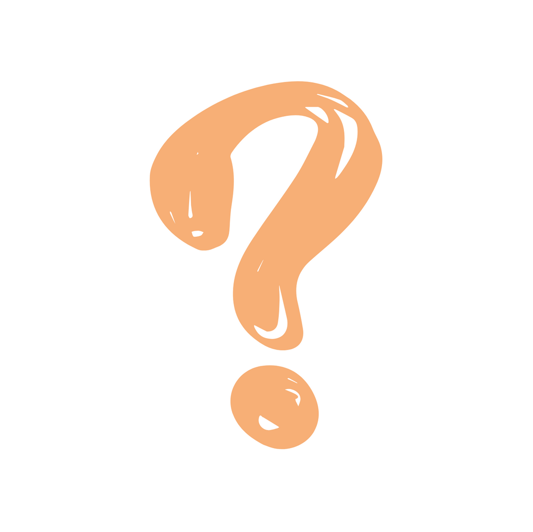 Mystery Bag